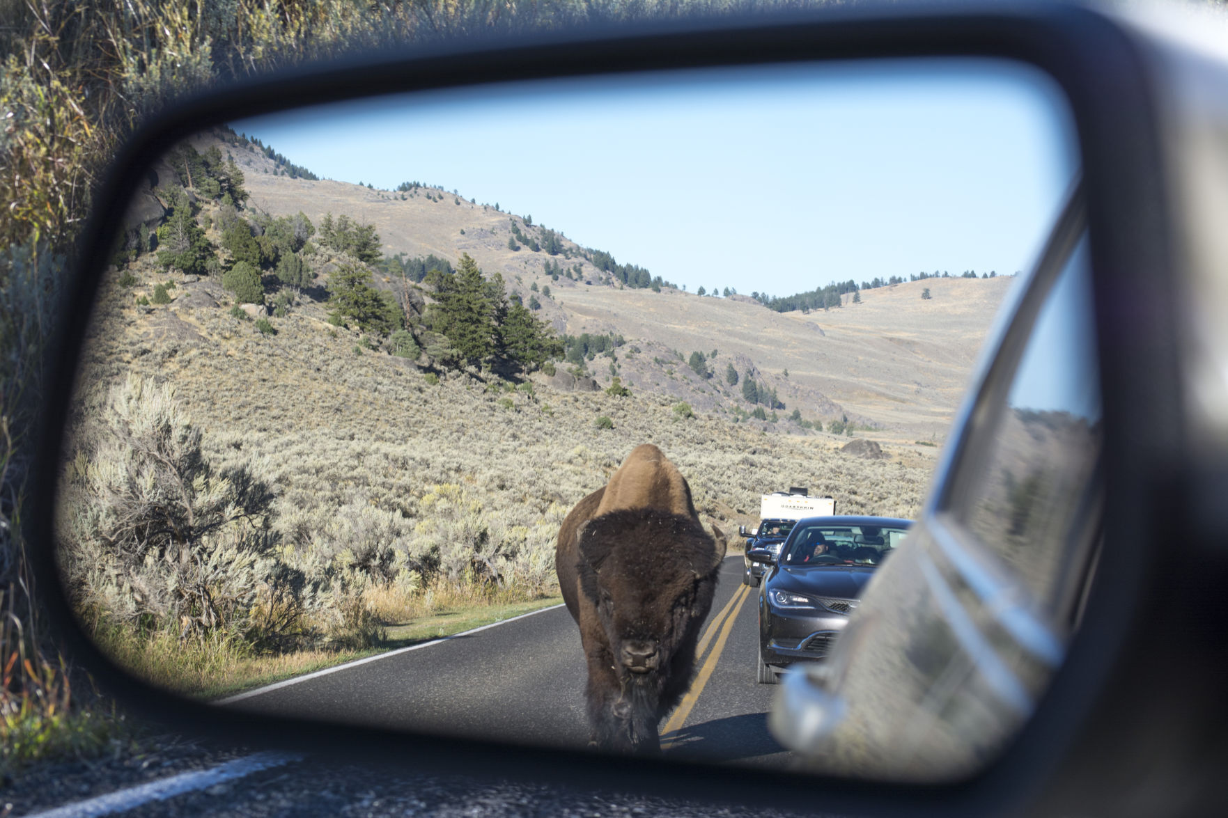 Yellowstone